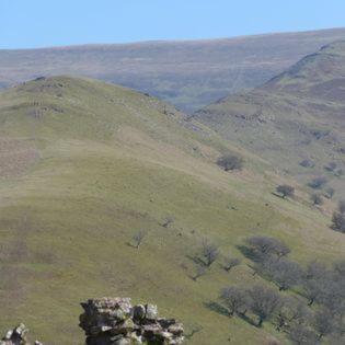 Dinas Castle Inn Brecon Ngoại thất bức ảnh